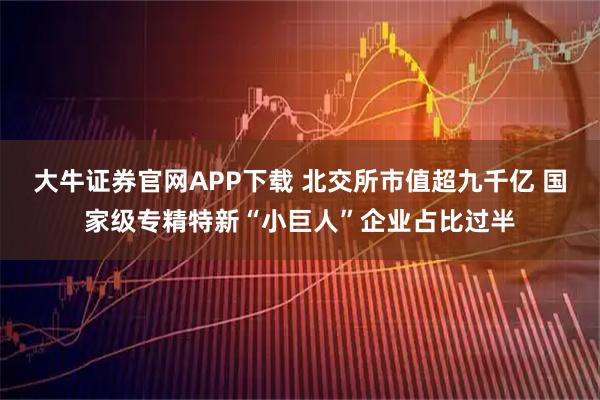 大牛证券官网APP下载 北交所市值超九千亿 国家级专精特新“小巨人”企业占比过半