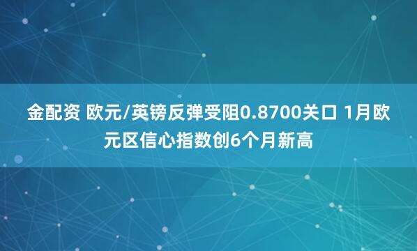 金配资 欧元/英镑反弹受阻0.8700关口 1月欧元区信心指数创6个月新高