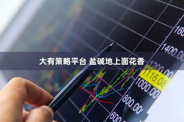 大有策略平台 盐碱地上面花香